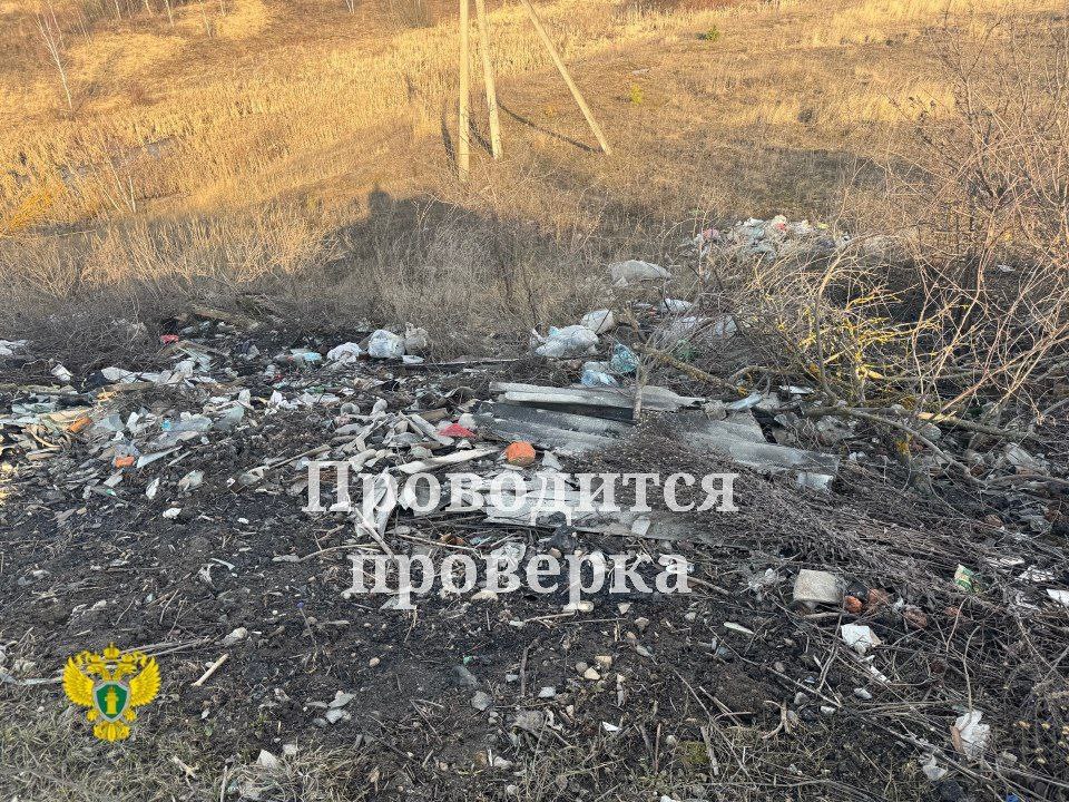 Прокуратура обнаружила несанкционированную свалку в рабочем поселке Арсеньево