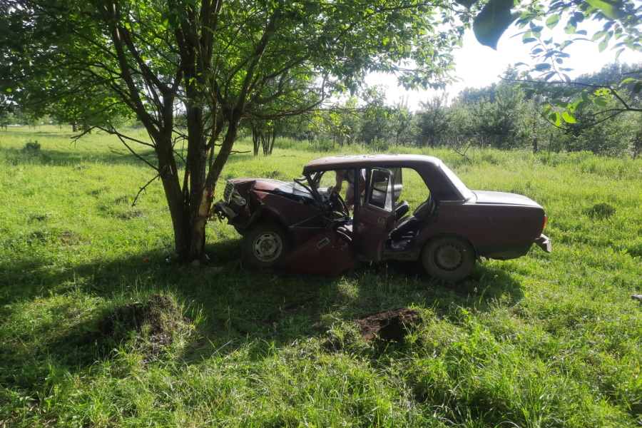 Водитель "ВАЗа" не справился с управлением и врезался в дерево в Щекинском районе