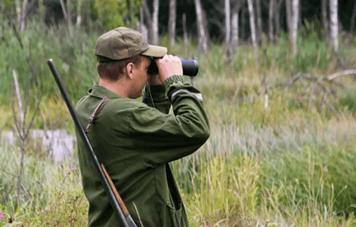 Сезон охоты на болотно-луговую пернатую дичь стартует в Тульской области с 25 июля