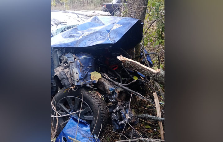 19-летний водитель на «Mazda 3» врезался в дерево на дороге в Тульской области