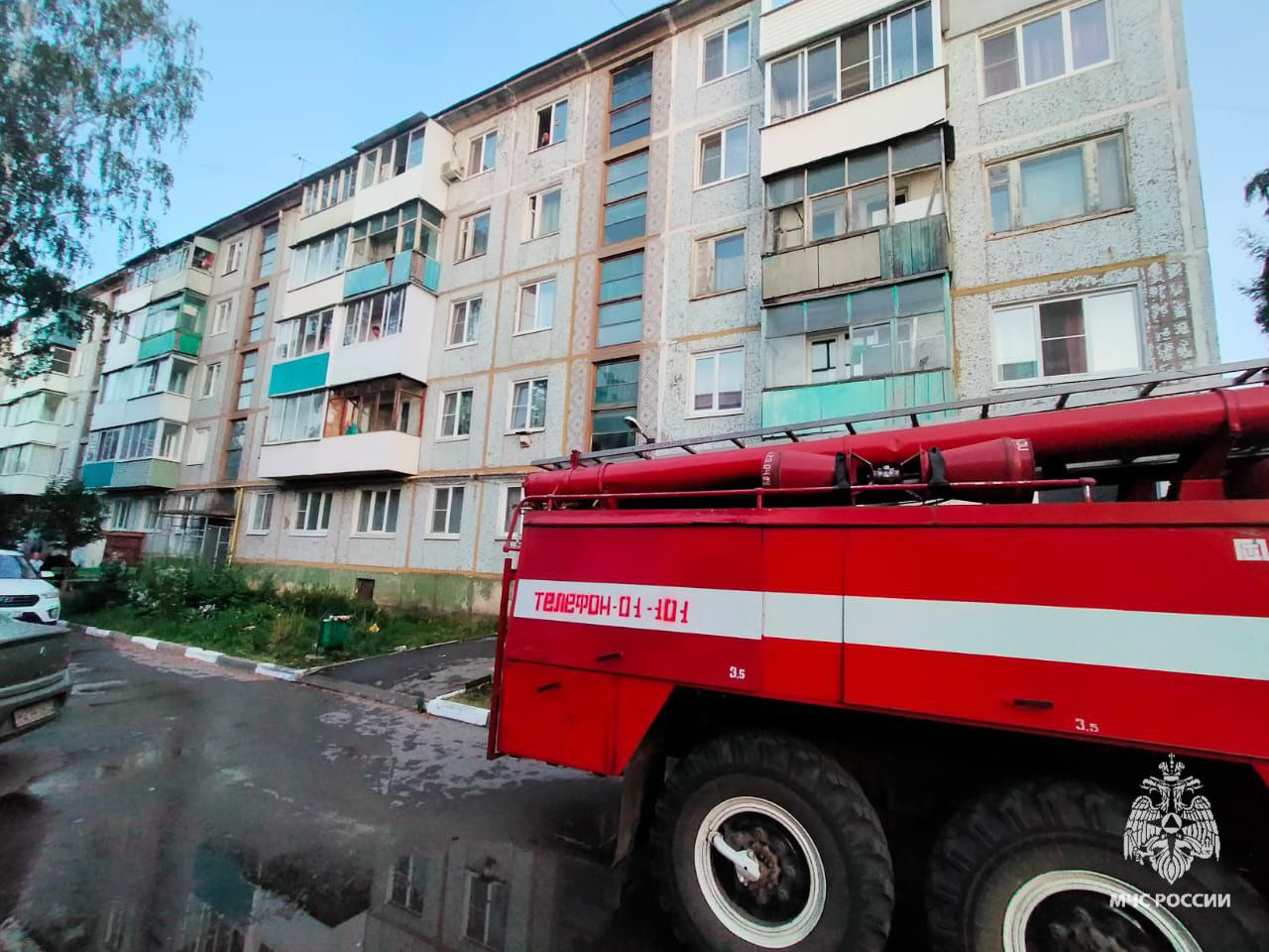 Сотрудники МЧС спасли трех человек из горящей квартиры в Донском Тульской области