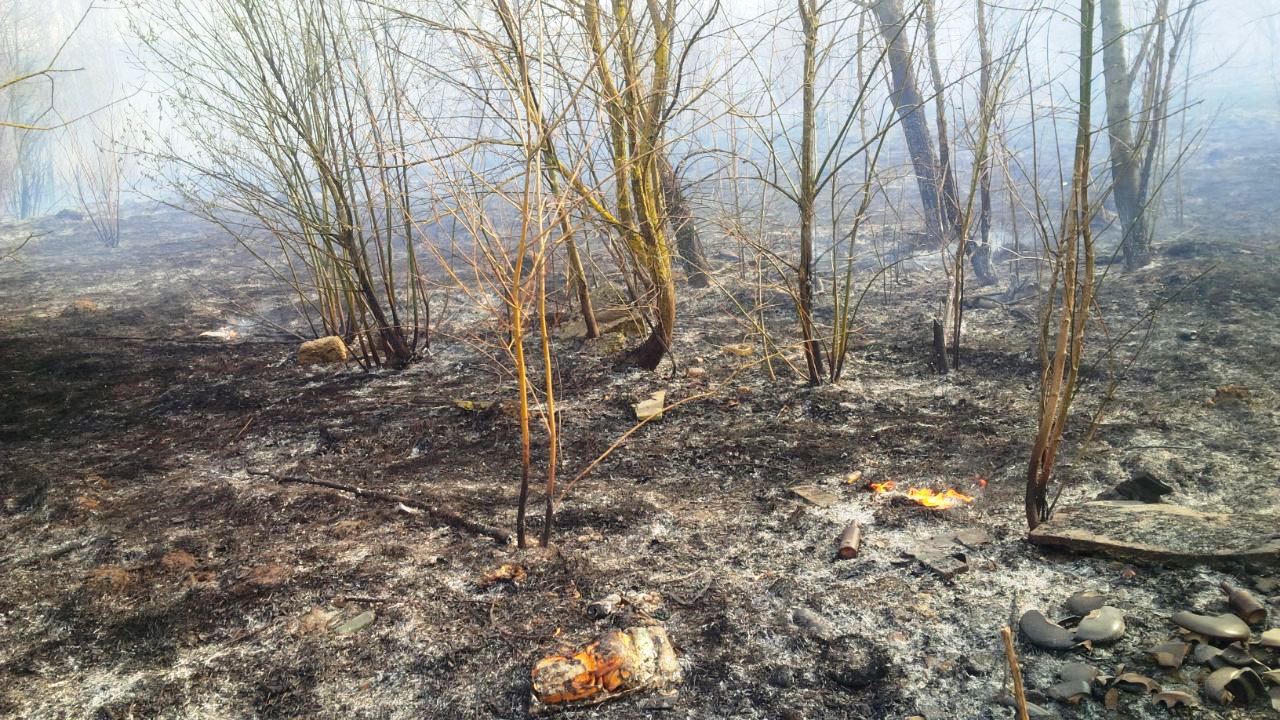 Два часа – три пожара. Туляки продолжают жечь поля, несмотря на последствия
