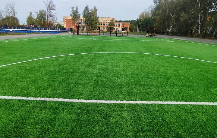 В Тульской области создадут программу по ремонту футбольных полей