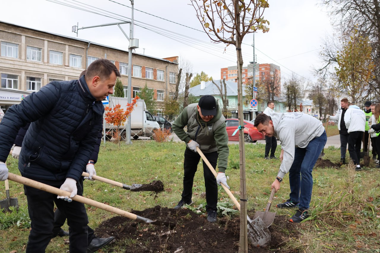 В Новомосковске высадили липовую аллею