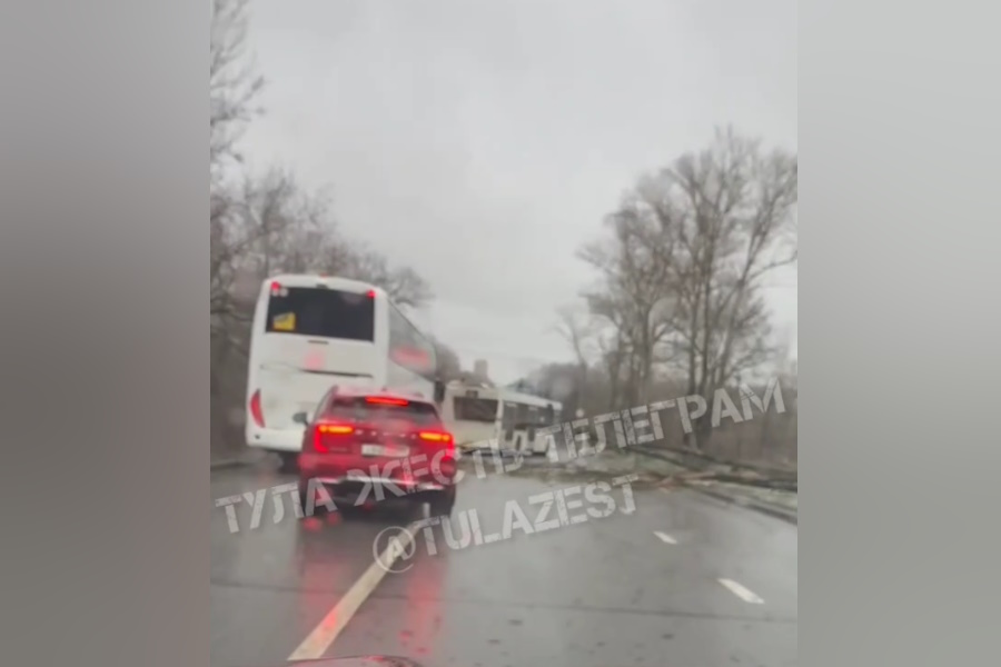 На Зеленстрое в Туле собирается пробка из-за рухнувшего на дорогу дерева