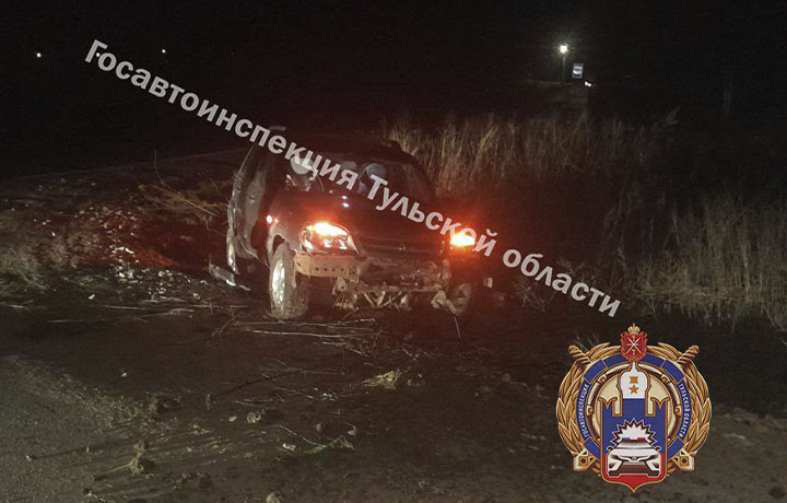 11-летний мальчик попал под колеса автомобиля на дороге в Щекинском районе 11-летний мальчик попал под колеса автомобиля на дороге в Щекинском районе