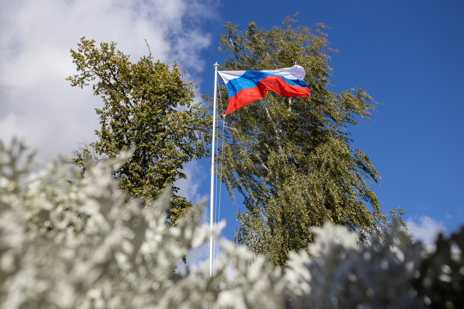 Общественный совет Херсонской области попросил немедленно провести референдум о вхождении в состав РФ