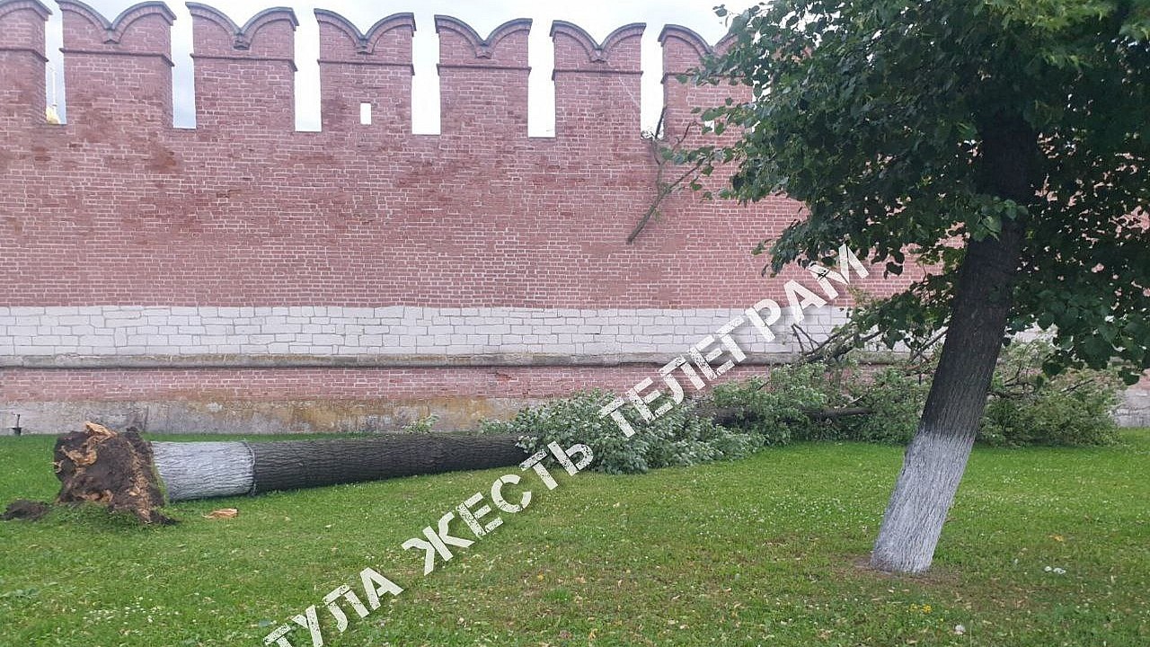 Ураган "Орхан" повалил дерево у Тульского кремля 5 июля