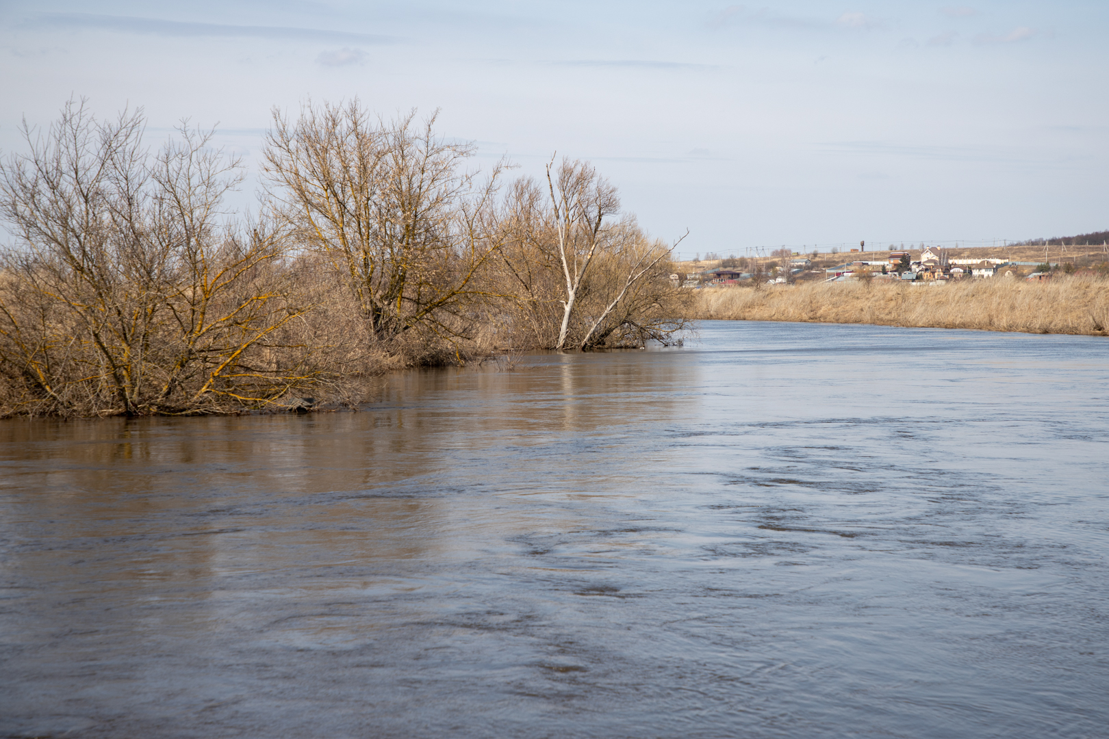 Подъем реки оки в алексине. Вода река. Река в Туле.