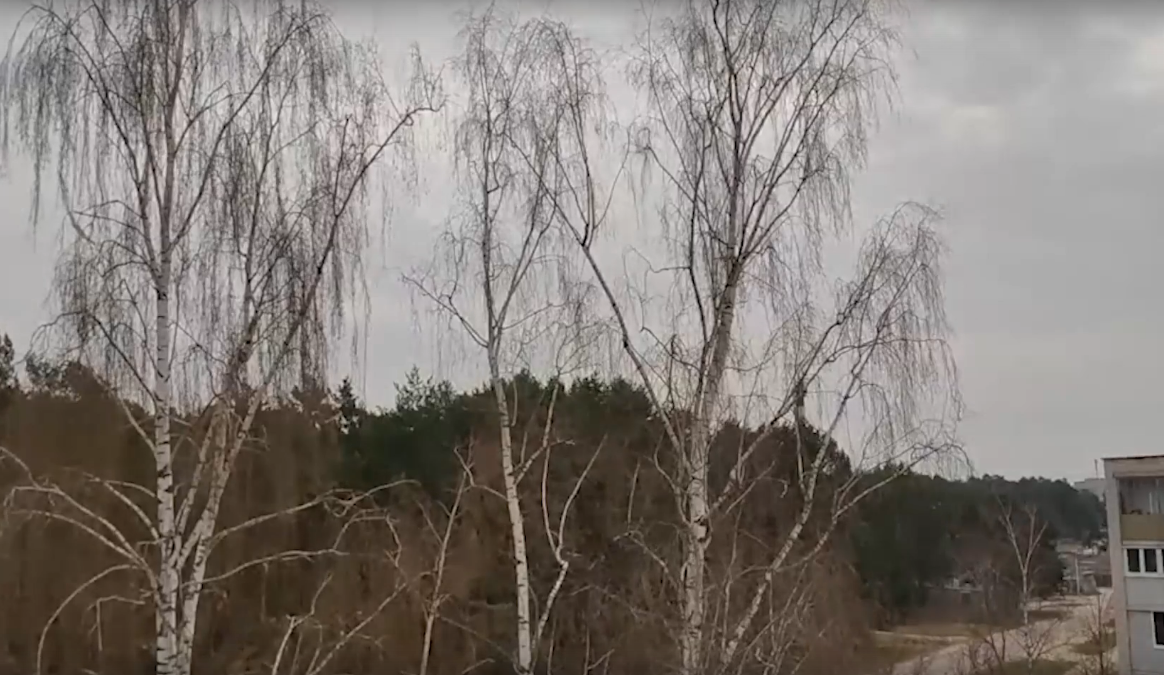 Жители Алексина сняли на видео момент перехода самолёта на сверзвук
