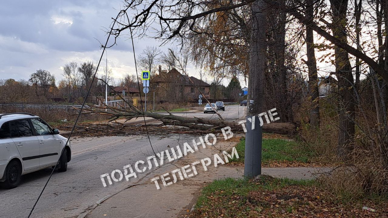 В тульском Заречье рухнувшее дерево перекрыло дорогу