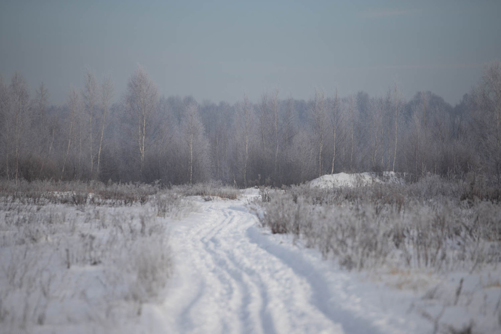 Сейчас теплее