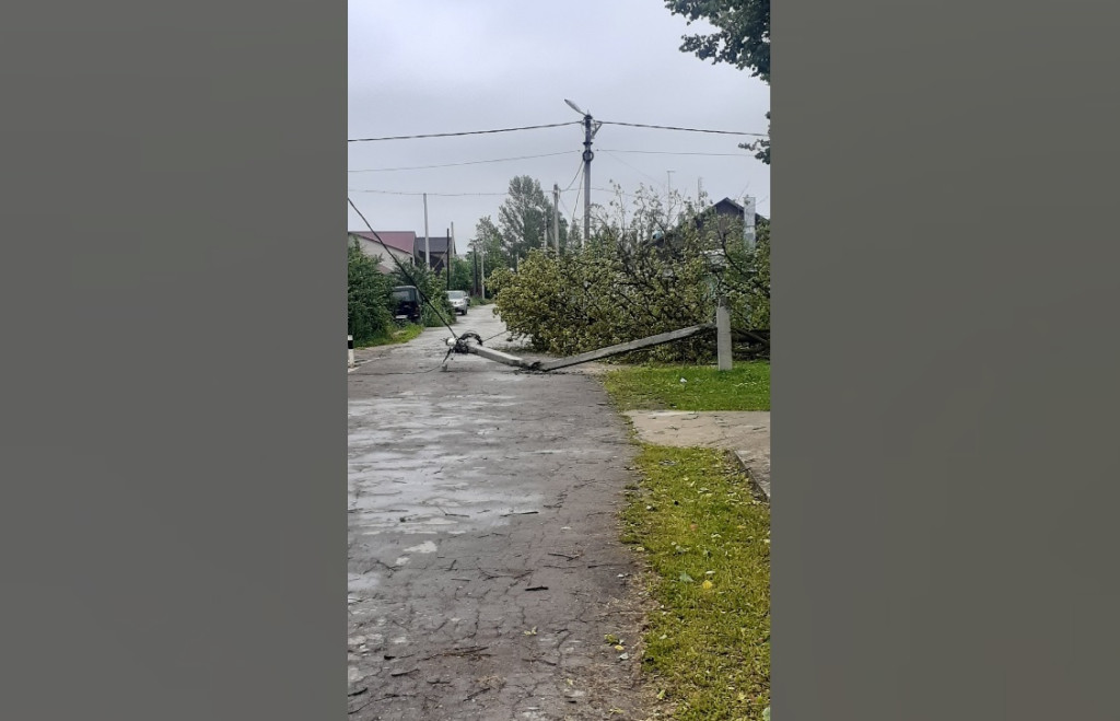 В Ясногорске 20 июня из-за непогоды упали несколько деревьев