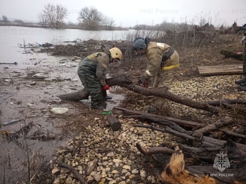 Спасатели расчищают мост в населенном пункте Берники Тульской области
