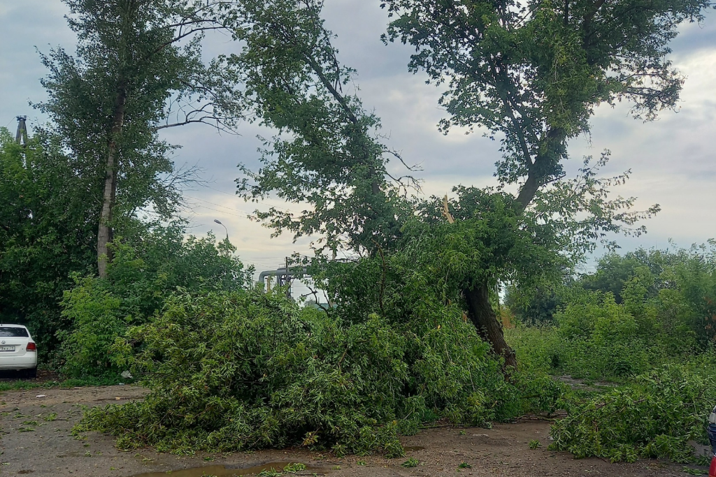 Фото: ЧП Новомосковск