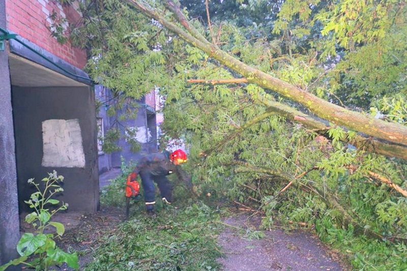 В Туле убирают деревья, поваленные из-за ураганного ветра