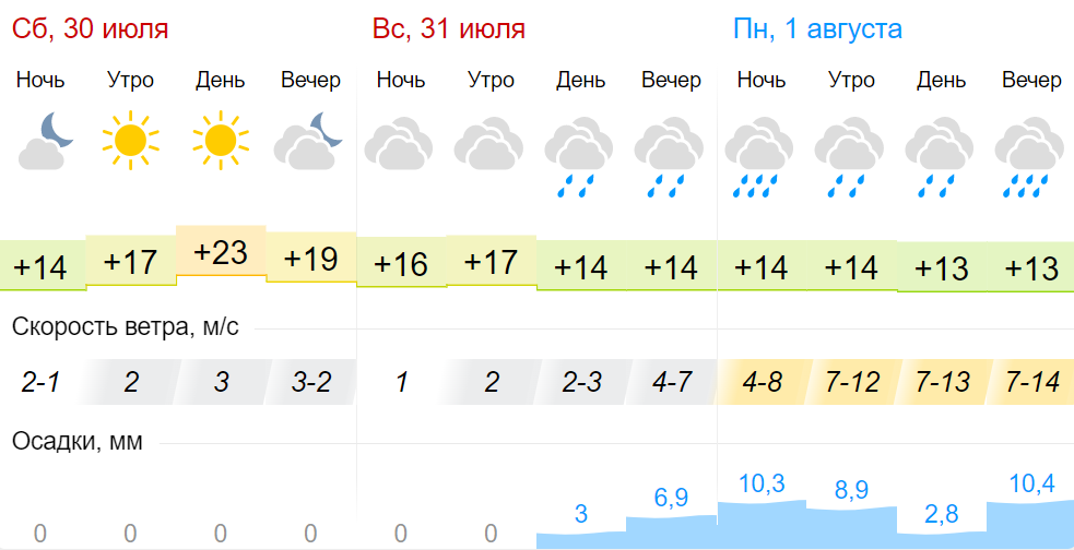 Осадки в туле сегодня по часам. Осадки Тула. Сколько градусов в Туле. Погода на август. Синоптик Тишковец фото.