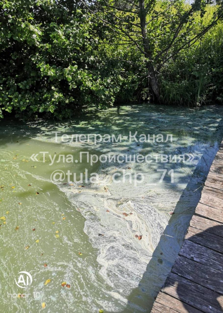 Жители пожаловались на загрязнение водоема в деревне Якшинские выселки Тульской области