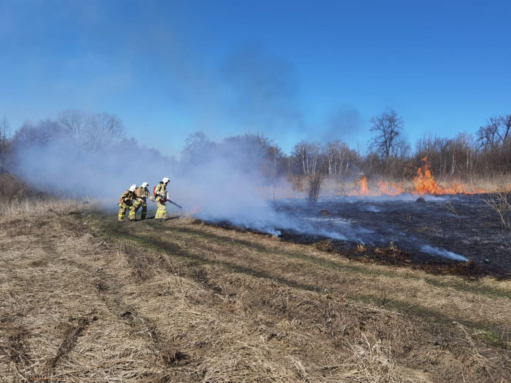 Пожарные с начала апреля совершили более 150 выездов на тушение травы и мусора в Тульской области