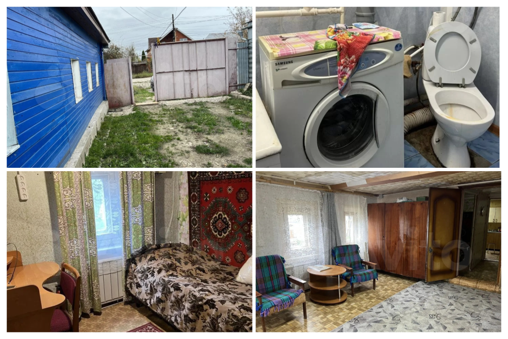 collage (15).png