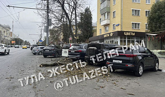 На проспекте Ленина в Туле упавшее дерево повредило машины