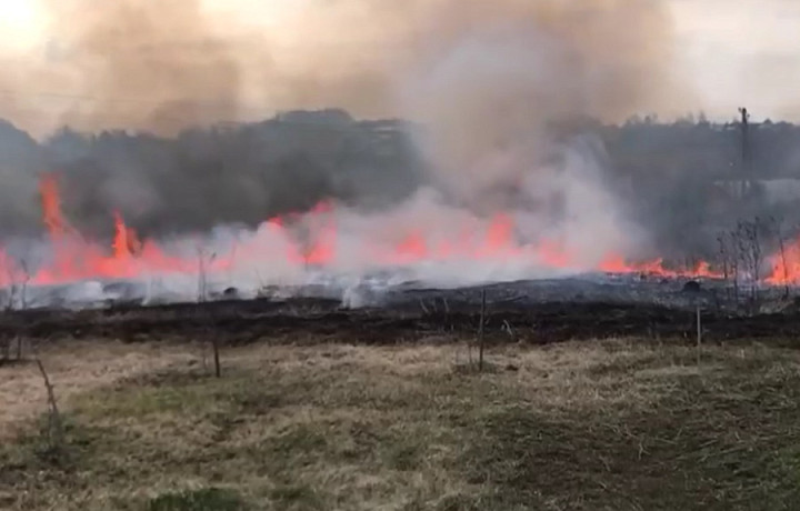 В Плавском районе Тульской области загорелось поле﻿