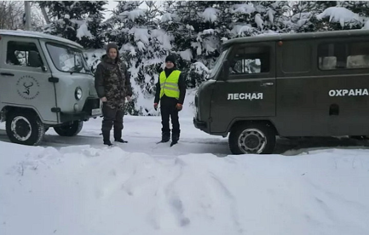 В тульских лесах усилили охрану деревьев для новогодних праздников