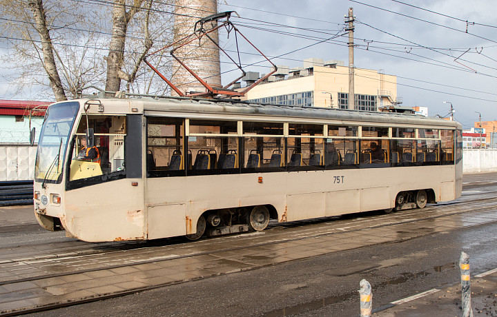 В транспорте Тулы 16 апреля поймали 359 «зайцев» В транспорте Тулы 16 апреля поймали 359 «зайцев»