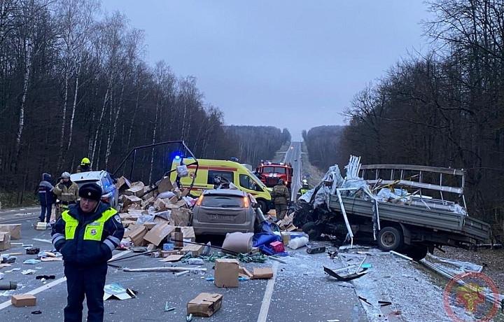 Стала известна возможная причина массового смертельного ДТП на трассе М-2 под Тулой