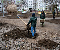 На Молодежном бульваре в Туле высадят 112 деревьев и около 150 кустарников