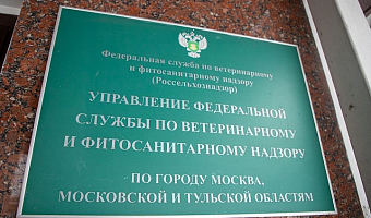 В Новомосковском районе объявлен карантин из-за ядовитой повилики