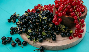 Кардиолог Молчанова назвала самую полезную для сосудов ягоду