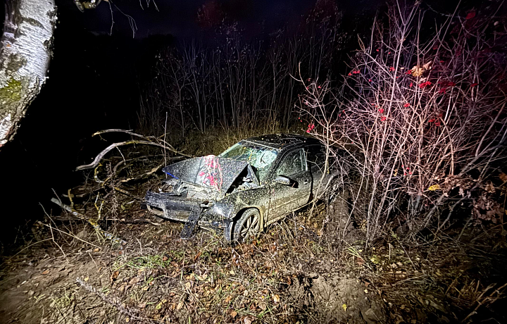 Водитель Skoda попал в больницу, не справившись с управлением в Алексинском районе