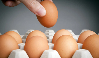 Нутрициолог рассказала, кому лучше не есть яйца