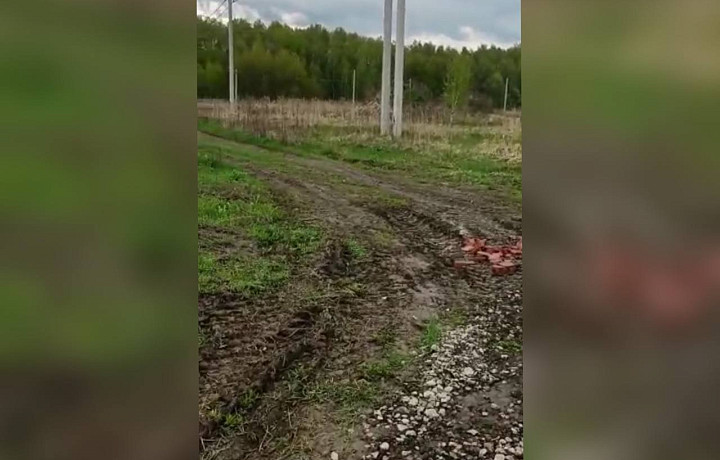 Жители тульской деревни Торхово пожаловались на отсутствие подходов к сельской школе