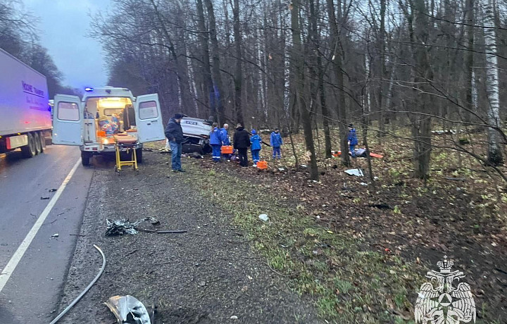 Ребенок погиб и три человека пострадали в ДТП под Богородицком