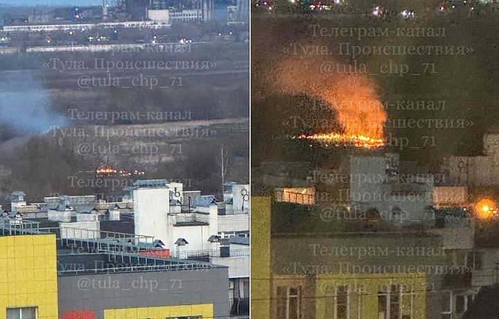 В Туле загорелось поле рядом с жилым домами В Туле загорелось поле рядом с жилым домами
