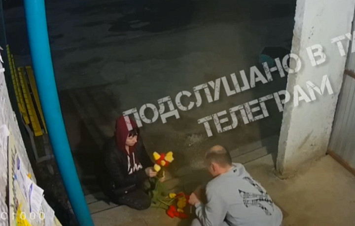 В Туле парочка попала на камеру во время кражи цветов в одном из дворов