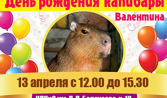 Туляков приглашают в экзотариум на день рождения капибары