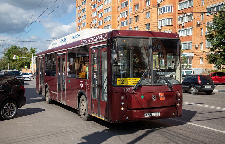 В Туле за сутки 530 человек пытались проехать «зайцами» в общественном транспорте