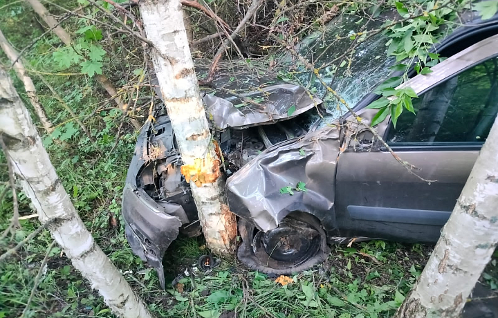 В Кимовском районе водитель Lada Largus вылетела в кювет и врезалась в дерево: пострадала трехлетняя девочка