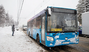 За сутки в тульском общественном транспорте поймали 494 безбилетника