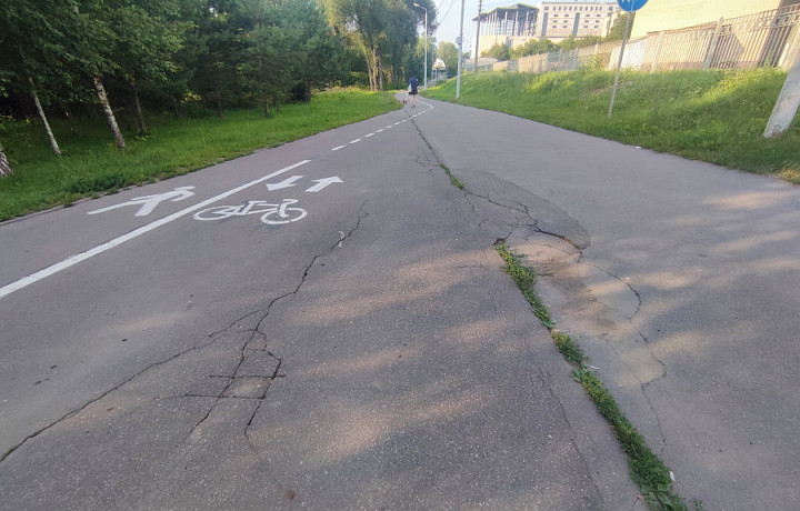 В Центральном парке Тулы отремонтируют несколько дорожек