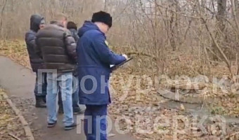 Прокуратура проверяет жалобы на болото из стоков в Донском