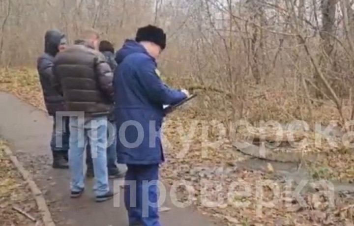 Прокуратура проверяет жалобы на болото из стоков в Донском