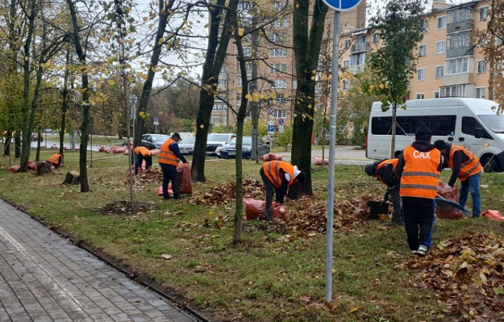 В Туле 16 октября продолжается уборка дорог и тротуаров