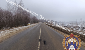В Богородицком районе водитель Volkswagen не справился с управлением: пострадал ребенок