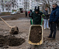 На Молодежном бульваре в Туле высадят 112 деревьев и около 150 кустарников