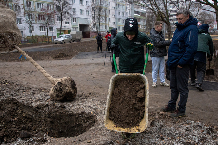 На Молодежном бульваре в Туле высадят 112 деревьев и около 150 кустарников