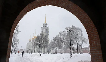 Тулякам рассказали, ждать ли снега на Новый год